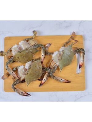 Ketam 600g