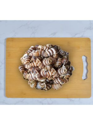 Pre order - Siput Sedut 1kg