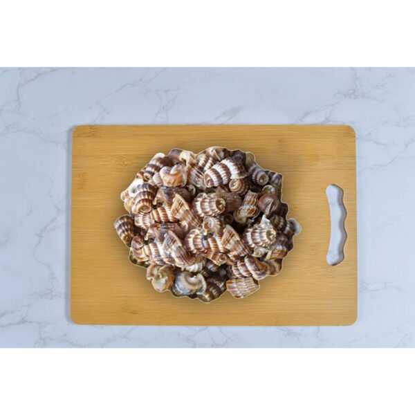 Pre order - Siput Sedut 1kg