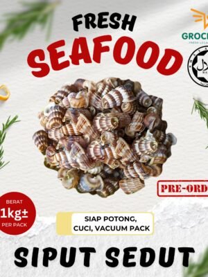 Pre order - Siput Sedut 1kg
