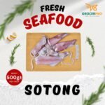 Sotong 500g
