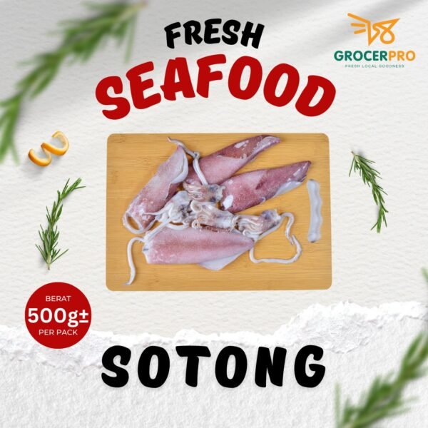 Sotong 500g
