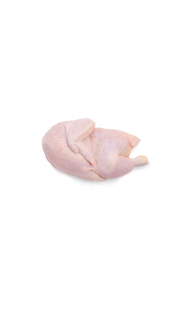 Ayam 1/2 Ekor