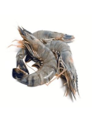 Udang XL 500g