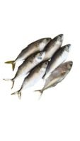 Pelaling 500g