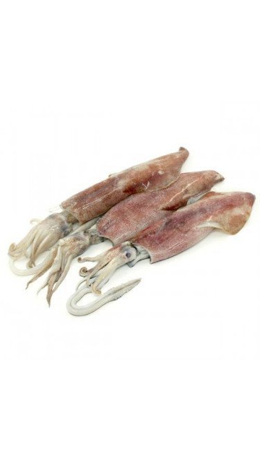 Sotong 500g