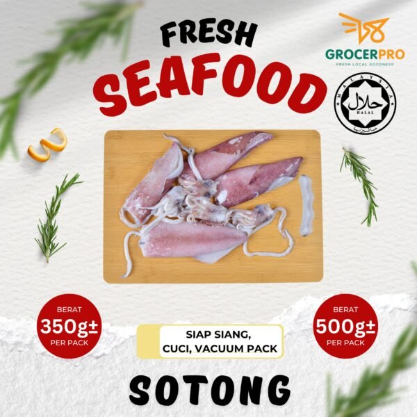 Sotong 500g
