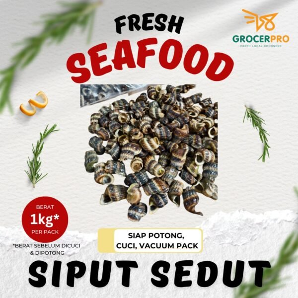 Siput Sedut 1kg